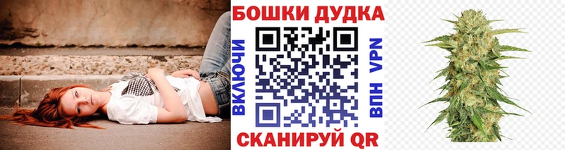Бошки марихуана Bruce Banner  Лиски 
